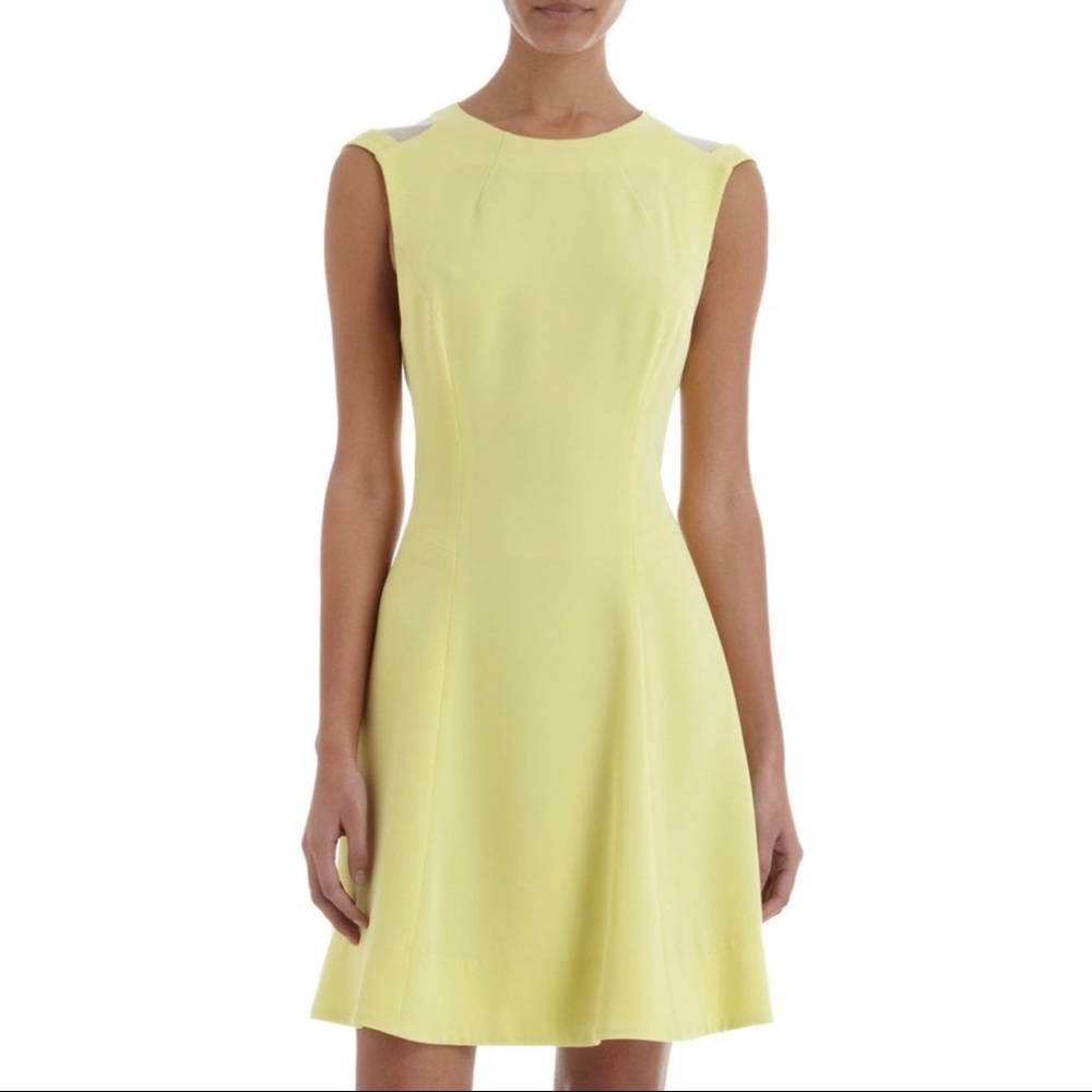 NWT Rag and Bone Sleeveless Ruby Dress
